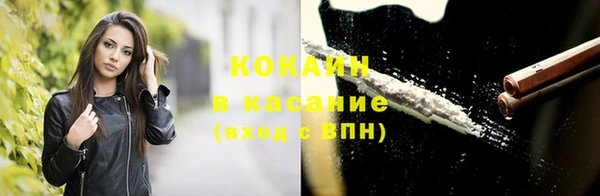 мдпв Осташков