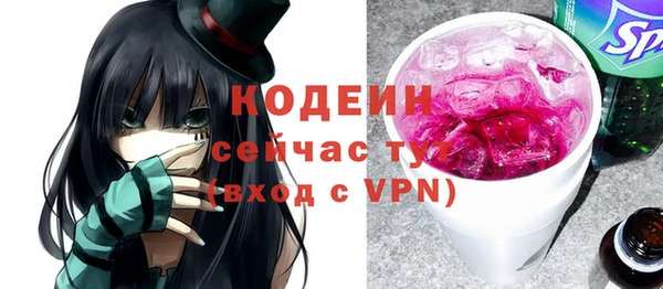 мдпв Осташков
