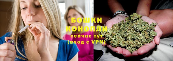 мдпв Осташков