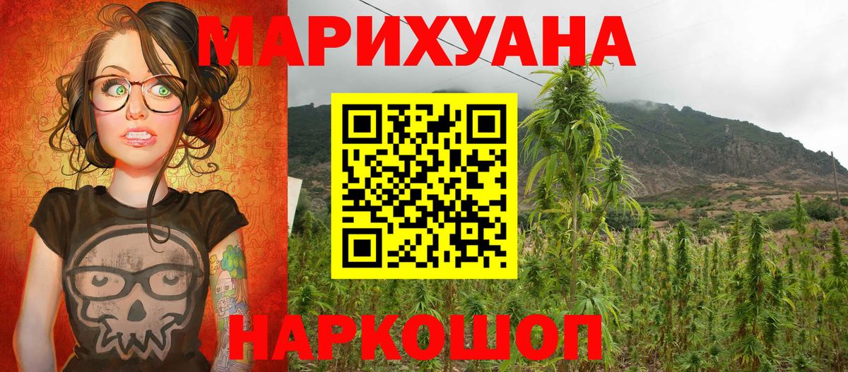 МАРИХУАНА сатива  Шишки марихуана планчик  Шишки марихуана планчик  Шуя  Конопля OG Kush  Вход с VPN 